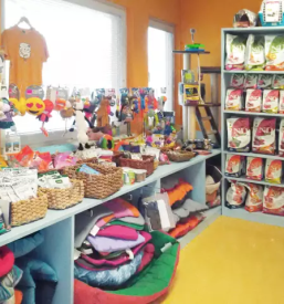 Veterina Ljubljana, Slovenija