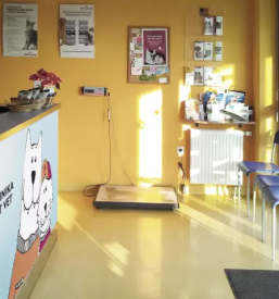 Veterinar Ljubljana, Slovenija