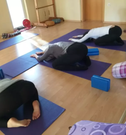 Kvalitetna bownova terapija slovenija