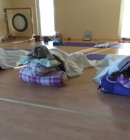 Kvalitetna bownova terapija slovenija