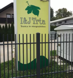 Prodaja belih vin Štajerska