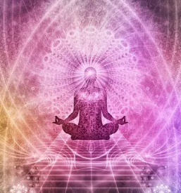 Kvalitetna bioenergija ptuj