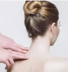 Kvalitetna bioenergija ptuj