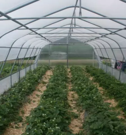 Postavljanje vrtnih rastlinjakov Osrednja Slovenija