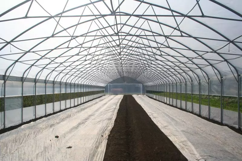 Kvalitetna izdelava in postavljanje rastlinjakov Slovenija