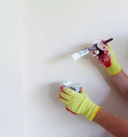 Kvalitetna slikopleskarska dela Savinjska, Slovenija