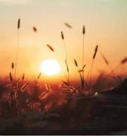 Kvalitetna terapija po cakrah