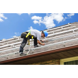 Pajek - Černilogar d.o.o.