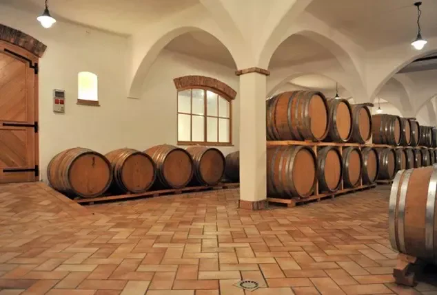 Kvalitetna vina Goriška Brda