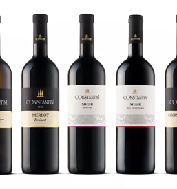 The best winery in Goriška Brda