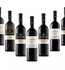 best winery in Goriška 