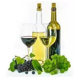 Kvalitetna prodaja vina Vipava