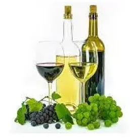 Kvalitetna prodaja vina Vipava