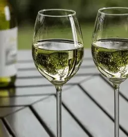 Visoko kvalitetna vina Vipava