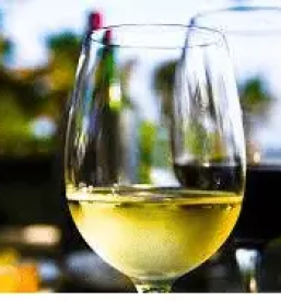 Degustacija vin Vipava