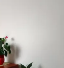 Kvalitetne masaze dolenjska