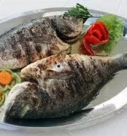 Kvalitetne primorske jedi portoroz