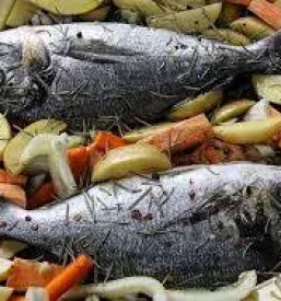 Kvalitetne ribje jedi portoroz