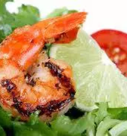 Kvalitetne ribje jedi portoroz