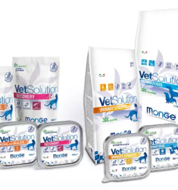 Kakovostne veterinarske storitve v Ljubljani