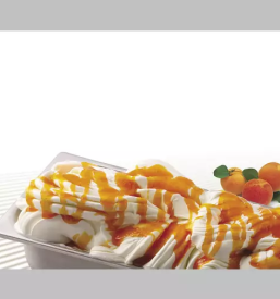 prodaja kvalitetnih zmesi v prahu za sladoled