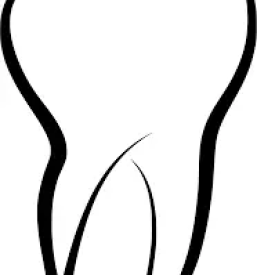 Kvalitetne zobozdravstvene usluge ilirska bistrica