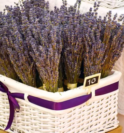 Kvalitetni izdelki iz sivke slovenija