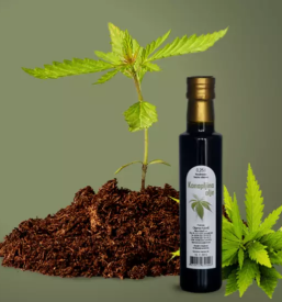 Kvalitetno bucno olje stajerska