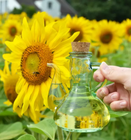 Domače bučno olje Prekmurje