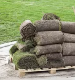 Kvalitetno obrezovanje drevja ljubljana