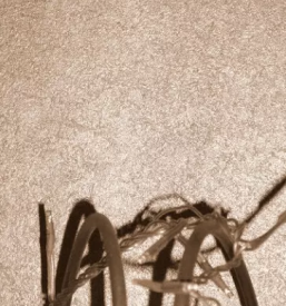 Kvalitetno slikopleskarstvo Goriška, Nova Gorica