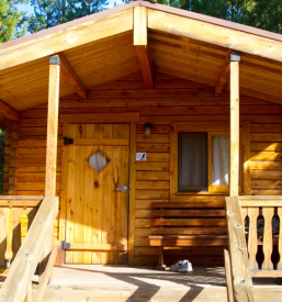 Kvalitetno tesarstvo savinjska