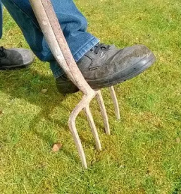 Kvalitetno urejanje in vzdrzevanje okolice stajerska