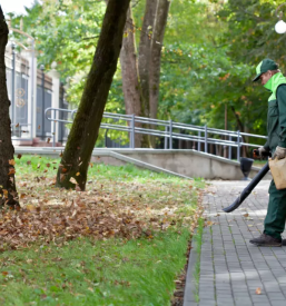 Kvalitetno urejanje okolice pomurje