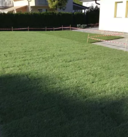 Kvalitetno urejanje okolice stajerska