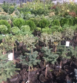 Kvalitetno urejanje okolice stajerska