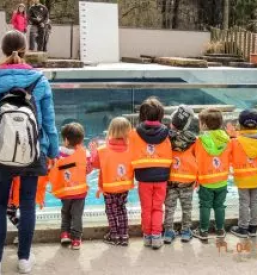 Kvalitetno varstvo otrok Ljubljana, Bežigrad