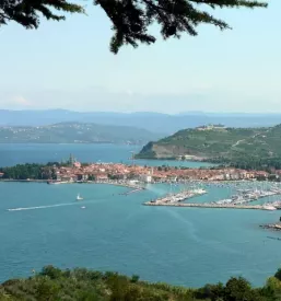 L affitto dell appartamento nel centro di isola