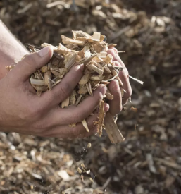 La produzione del cippato in primorska