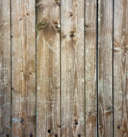 Lakiranje miz in vrat slovenija