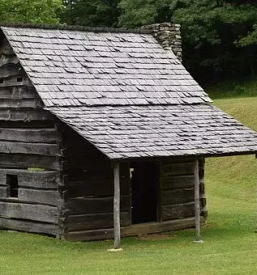 Lesene brunarice Osrednja Slovenija