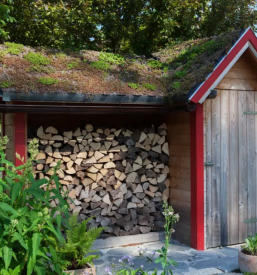 Lesene brunarice Osrednja Slovenija