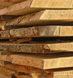 Lesni center brst slovenija