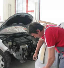 Licarstvo na vodni bazi gorenjska