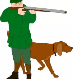 Lov na divjad po sloveniji