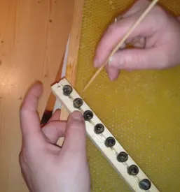 Maticni mlecek v sloveniji
