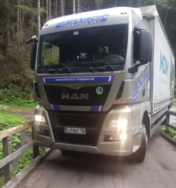 Mednarodni prevozi blaga za nemcijo in iz nemcije