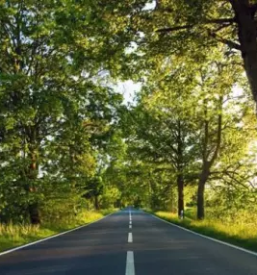 Mednarodni prevozi blaga za nemcijo in iz nemcije