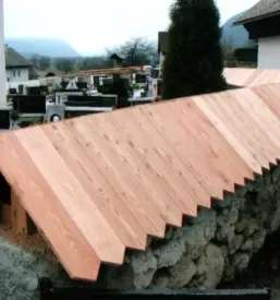 Menjava lesene strehe slovenija