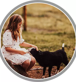 Mini zivalski vrt gorenjska